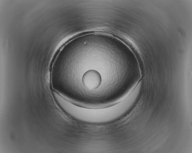 X0000112971324200909101645