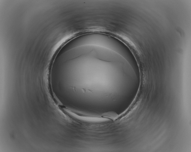 X0000112971325200909101645