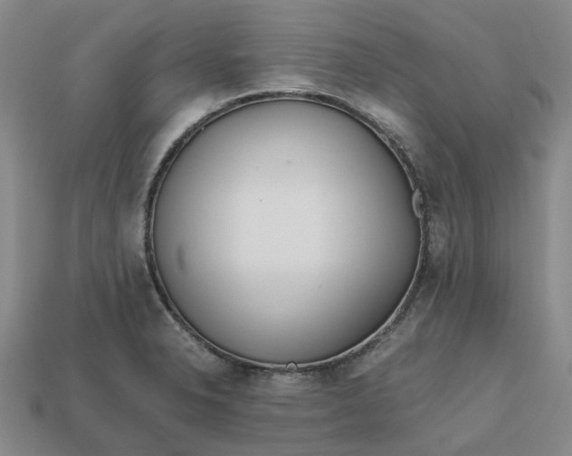 X0000112971326200909101645