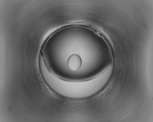 X0000112971328200909101645