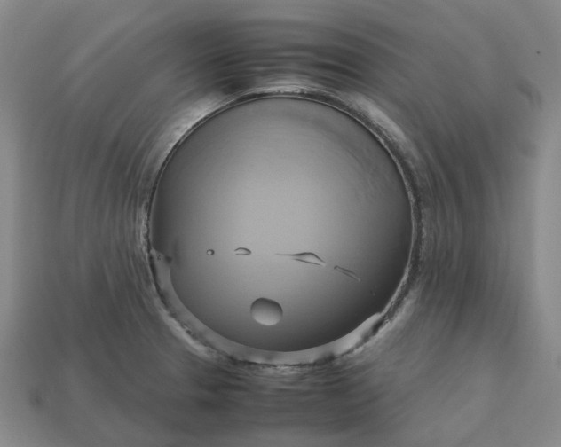 X0000112971329200909101645