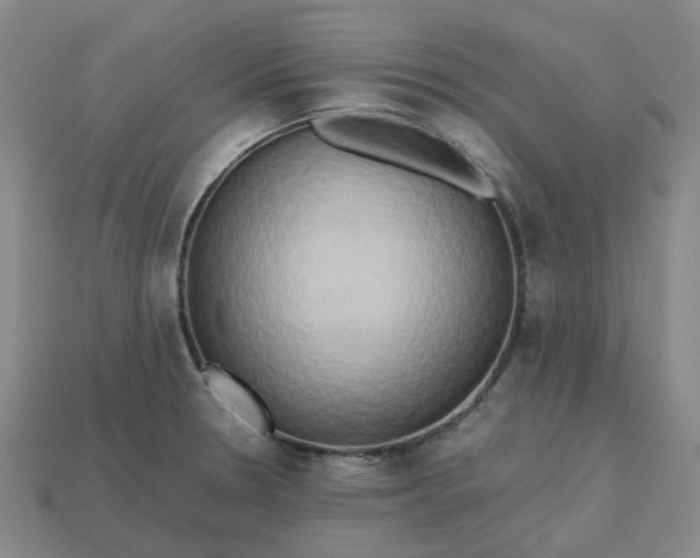 X0000112971330200909101645