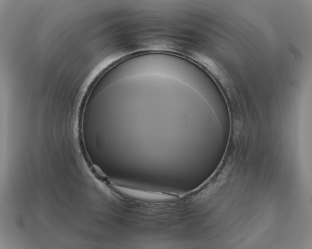 X0000112971331200909101645