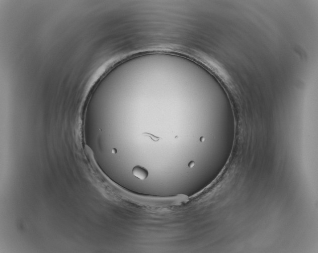 X0000112971332200909101645