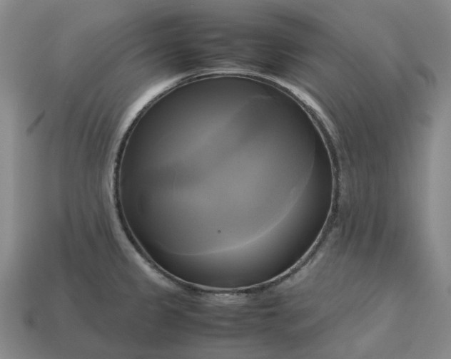 X0000112971333200909101645