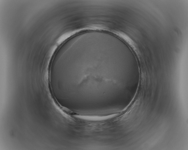 X0000112971335200909101645