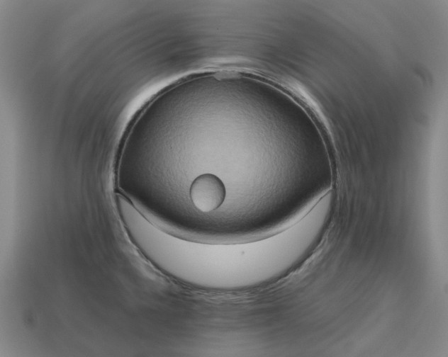 X0000112971336200909101645