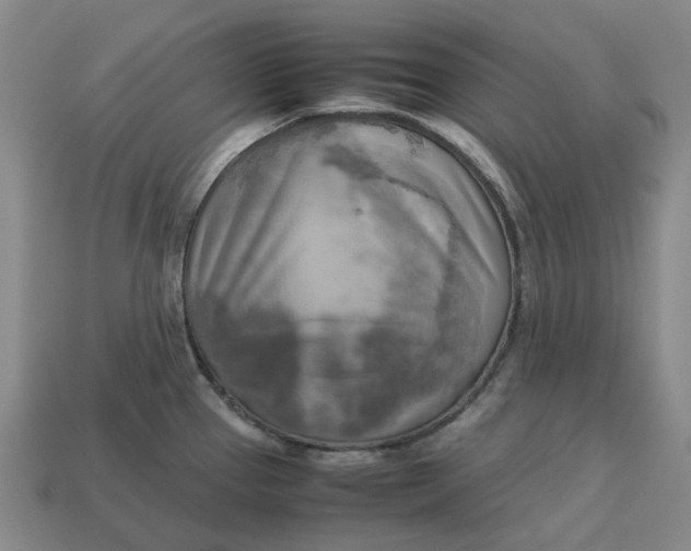 X0000112971337200909101645