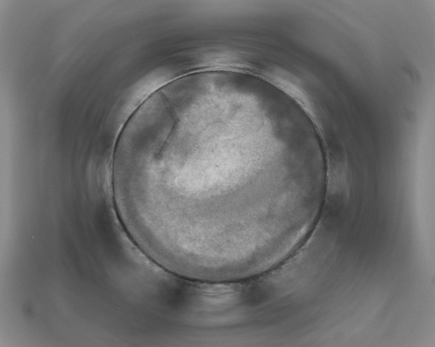 X0000112971338200909101645