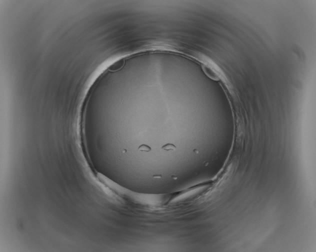 X0000112971339200909101645