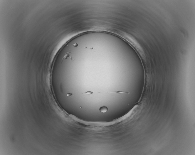 X0000112971340200909101645