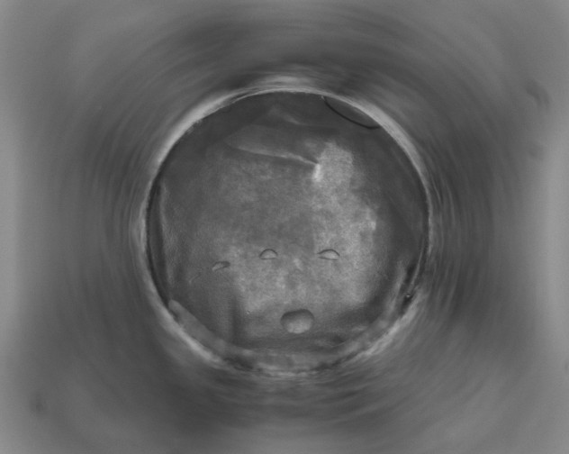 X0000112971341200909101645