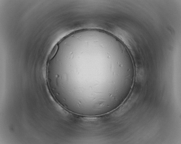 X0000112971342200909101645