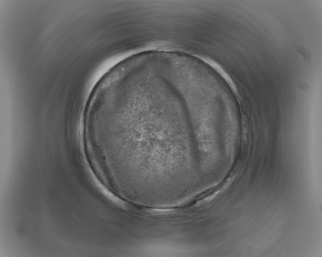 X0000112971343200909101645