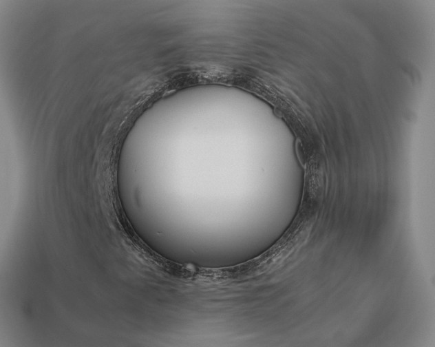 X0000112971345200909101645