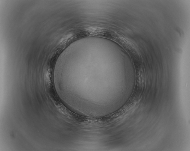 X0000112971346200909101645