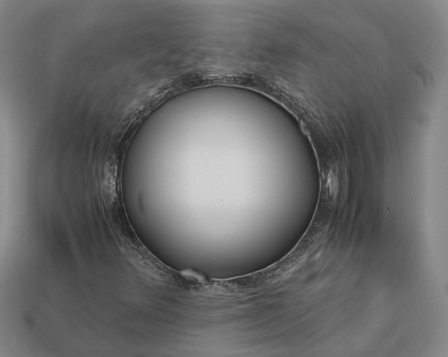 X0000112971348200909101645