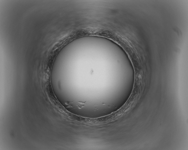 X0000112971349200909101645