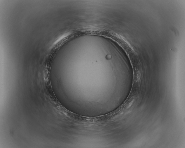 X0000112971350200909101645