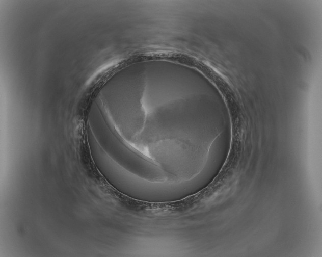 X0000112971351200909101645