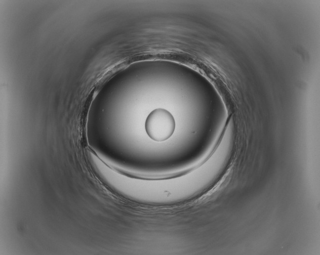 X0000112971353200909101644