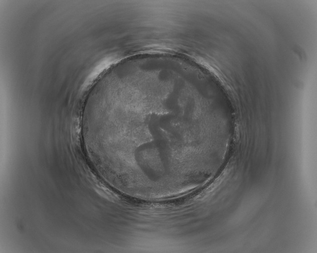 X0000112971355200909101644