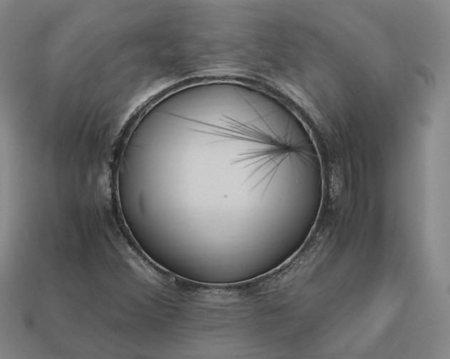 X0000112971356200909101644