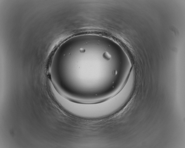 X0000112971357200909101644