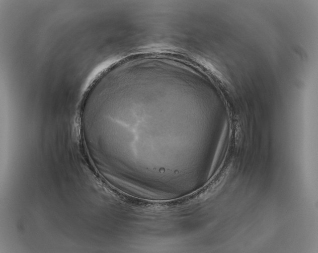 X0000112971358200909101644