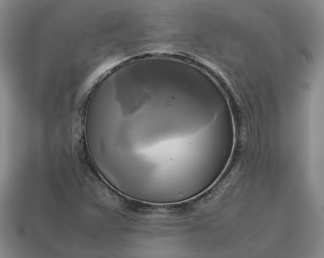 X0000112971359200909101644