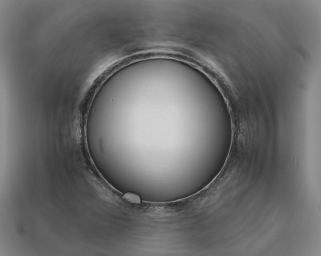 X0000112971360200909101644