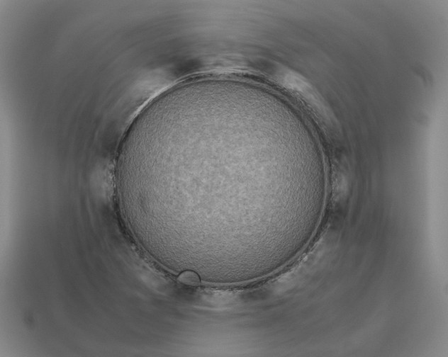 X0000112971361200909101644