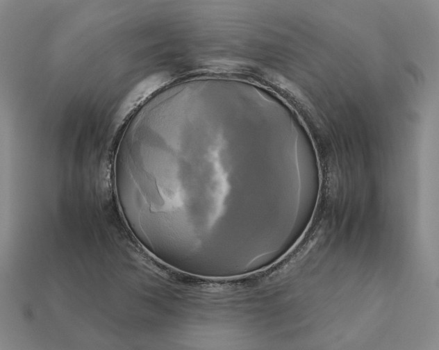 X0000112971362200909101644