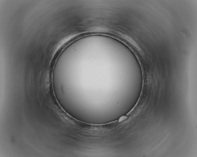 X0000112971364200909101644