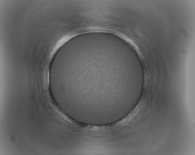 X0000112971365200909101644