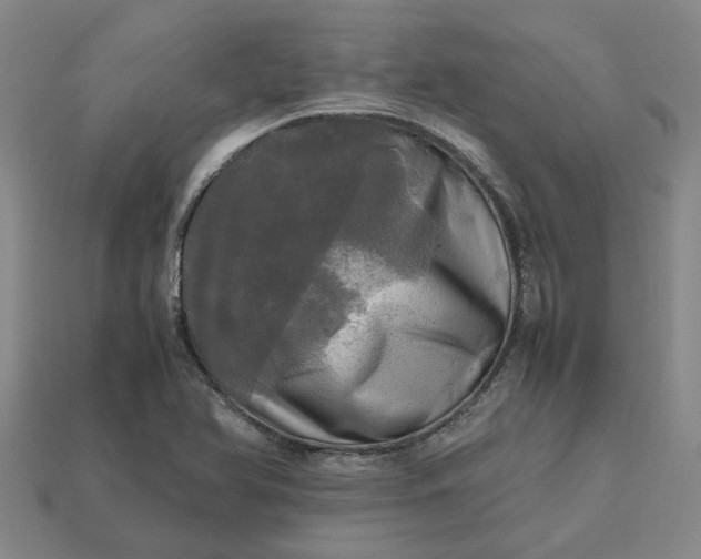 X0000112971366200909101644