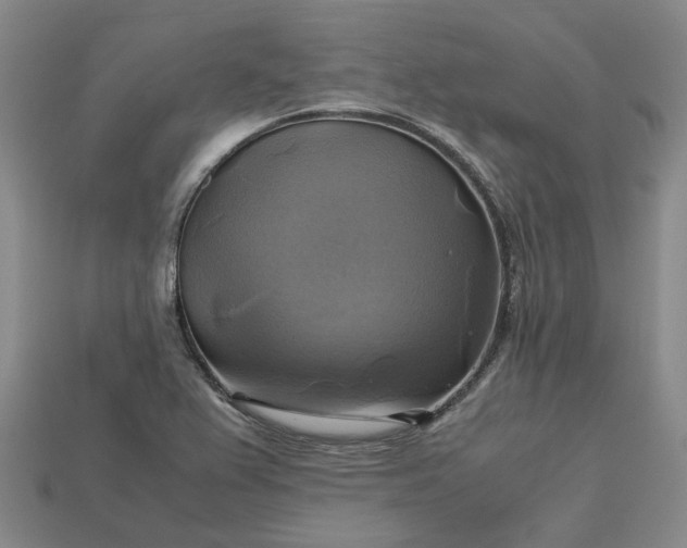 X0000112971367200909101644