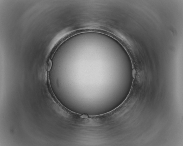 X0000112971368200909101644