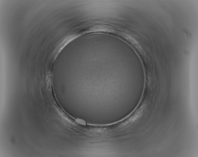 X0000112971369200909101644