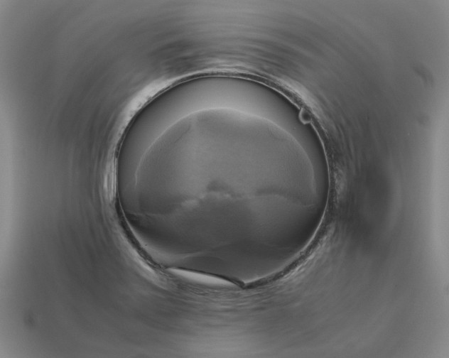 X0000112971371200909101644