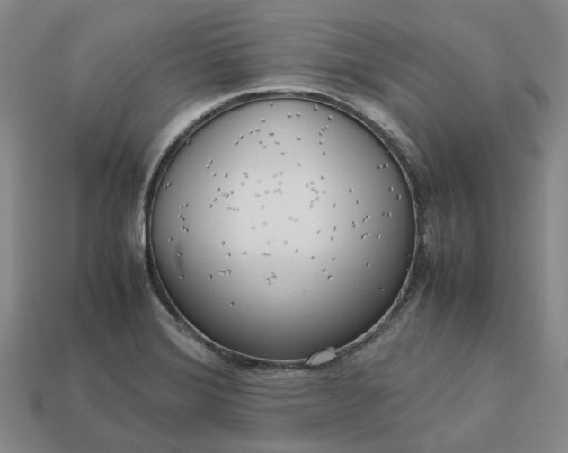 X0000112971372200909101644