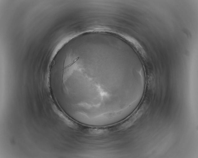 X0000112971374200909101644