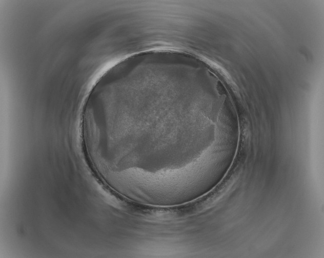 X0000112971375200909101644