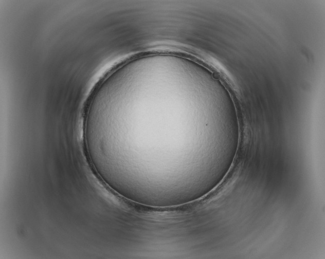 X0000112971376200909101644