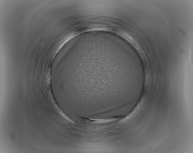 X0000112971377200909101644