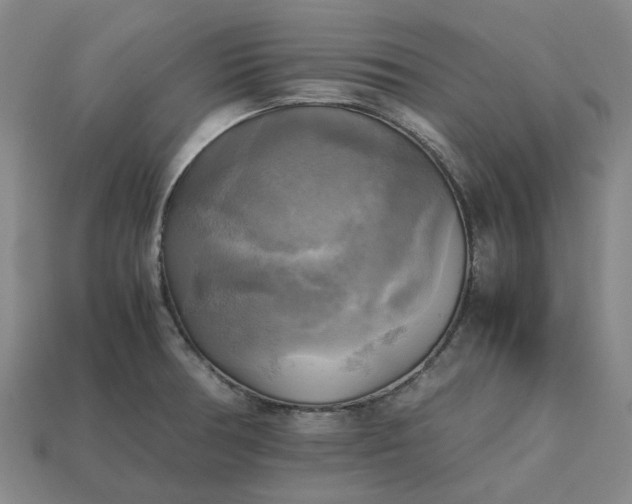 X0000112971378200909101644