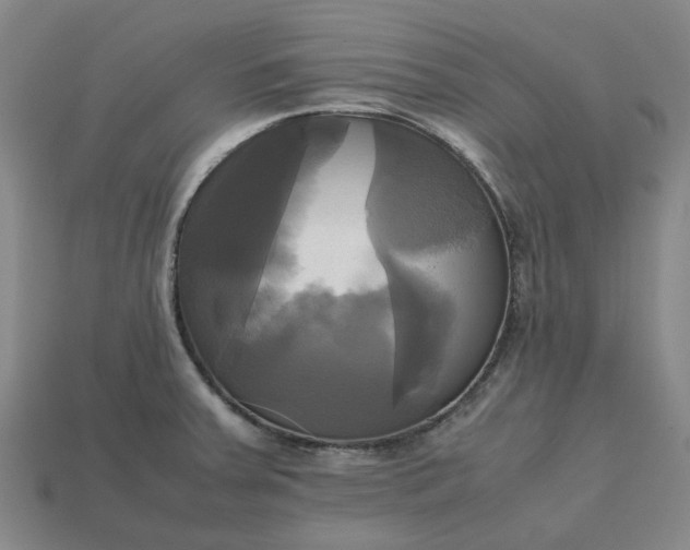 X0000112971379200909101644