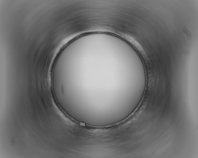 X0000112971380200909101644