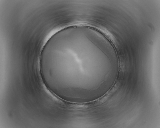 X0000112971382200909101644