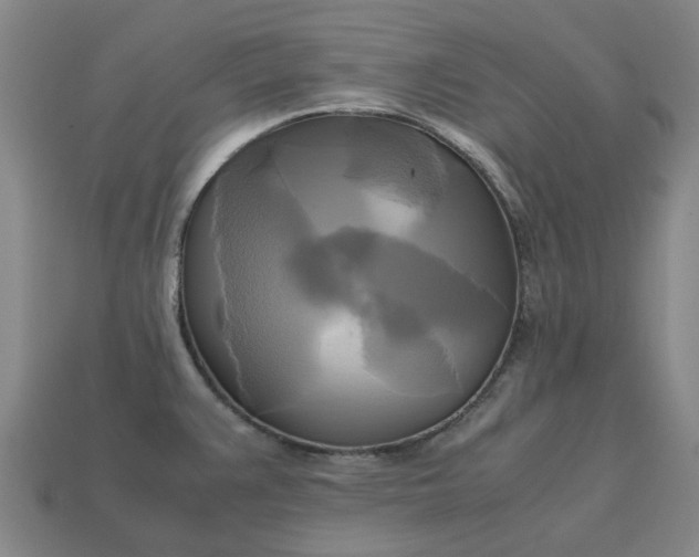 X0000112971383200909101644